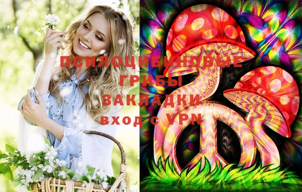 ГАЛЛЮЦИНОГЕННЫЕ ГРИБЫ Арсеньев