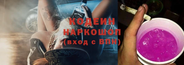 ГАЛЛЮЦИНОГЕННЫЕ ГРИБЫ Арсеньев