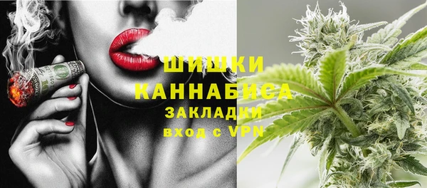 ГАЛЛЮЦИНОГЕННЫЕ ГРИБЫ Арсеньев
