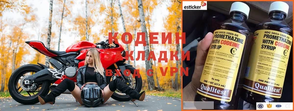 ГАЛЛЮЦИНОГЕННЫЕ ГРИБЫ Арсеньев