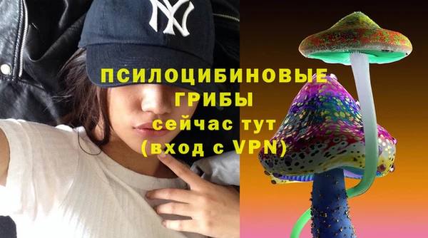 мет Аркадак
