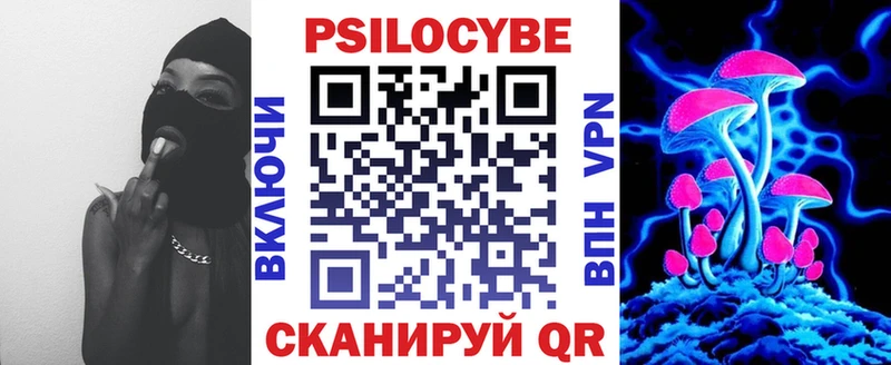 Галлюциногенные грибы мицелий  Новая Ладога 